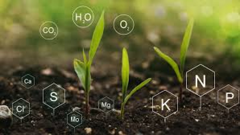 Agricultural Biologicals Market strategies revolutionizing pest control in global crop sectors