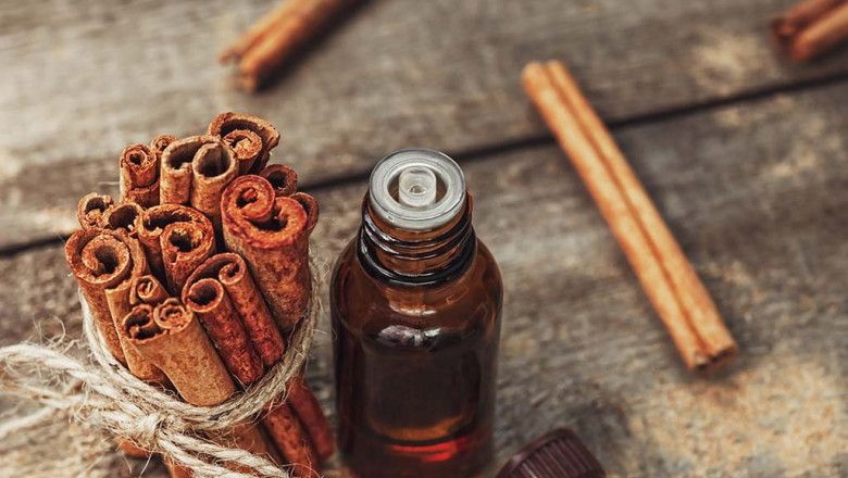 Cinnamon Bark Oil Market to Surge with Rising Aromatherapy Demand