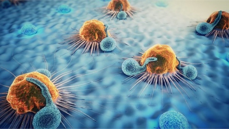Hope Against Cancer: Advanced Immunotherapy in Delhi at a Trusted Cancer Hospital