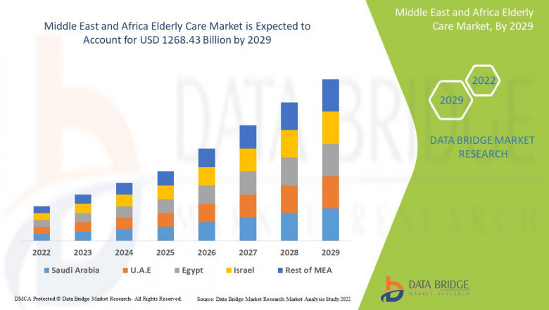 Middle East and Africa Elderly Care Market Size, Share, Trends, Demand, Growth and Competitive Outlook
