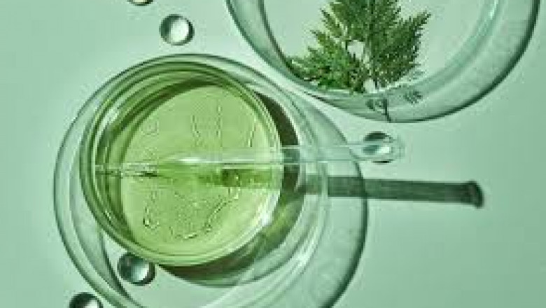 Natural Solubilizer Market: Market Intelligence Enhancing Strategic Industry Decisions