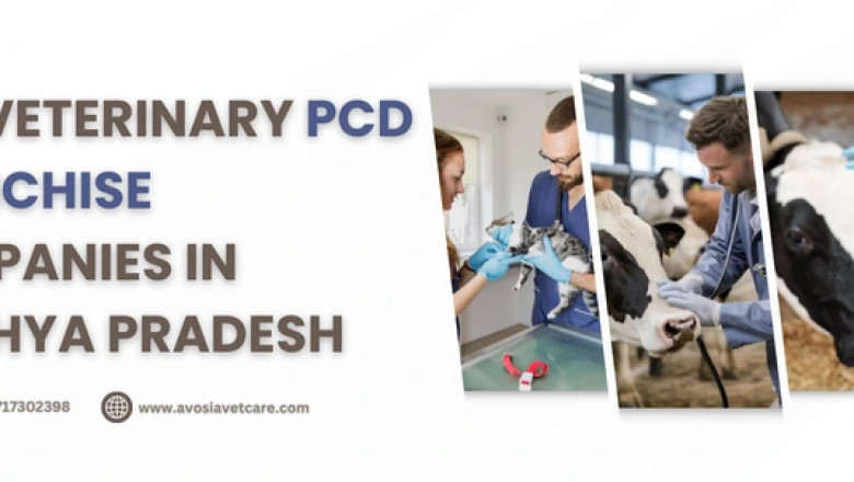 Top Veterinary PCD Franchise Companies in Madhya Pradesh