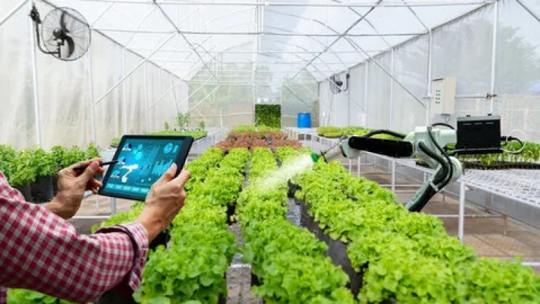 Controlled Environment Agriculture Market Growth and Forecast Analysis