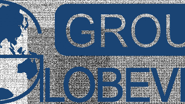 Mastering Immigration: How Globevisa Group Stands Out in a Competitive Market