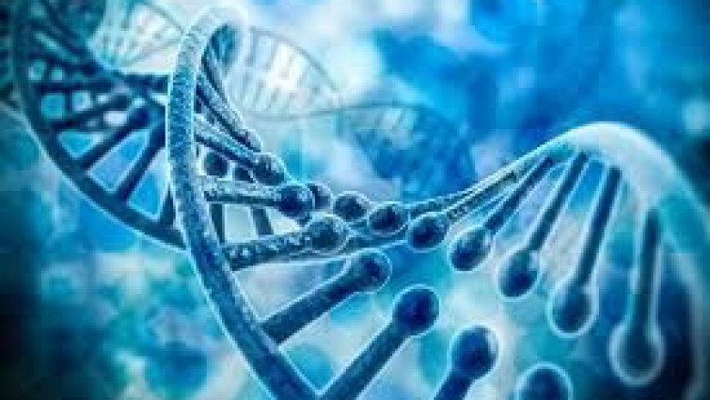 SNP Genotyping and Analysis Market: Driving Precision Medicine and Genomic Research