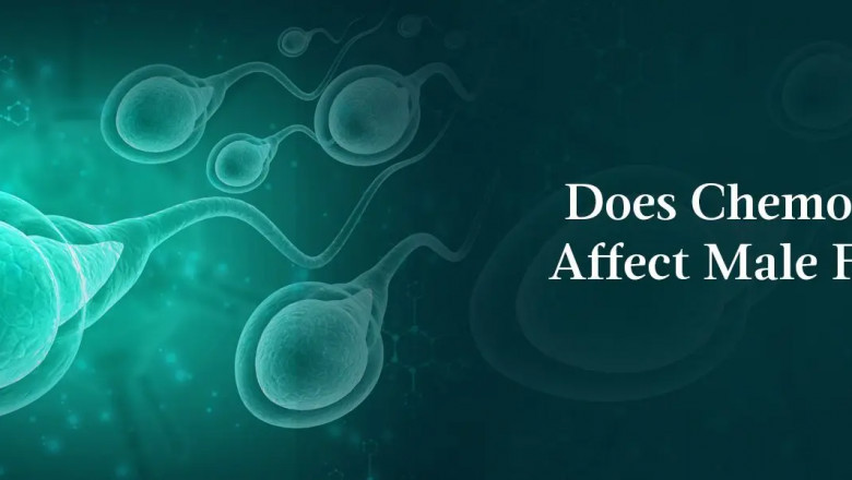 The Effects of Chemotherapy On Sperm Health & Male Fertility