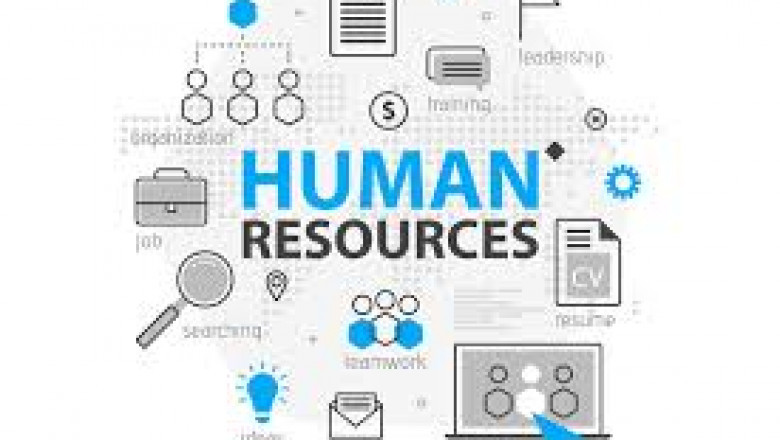 📊 The Role of Data Analytics in HRM Decision-Making