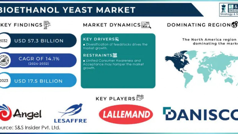 What Innovations Are Shaping Europe’s Bioethanol Yeast Industry?