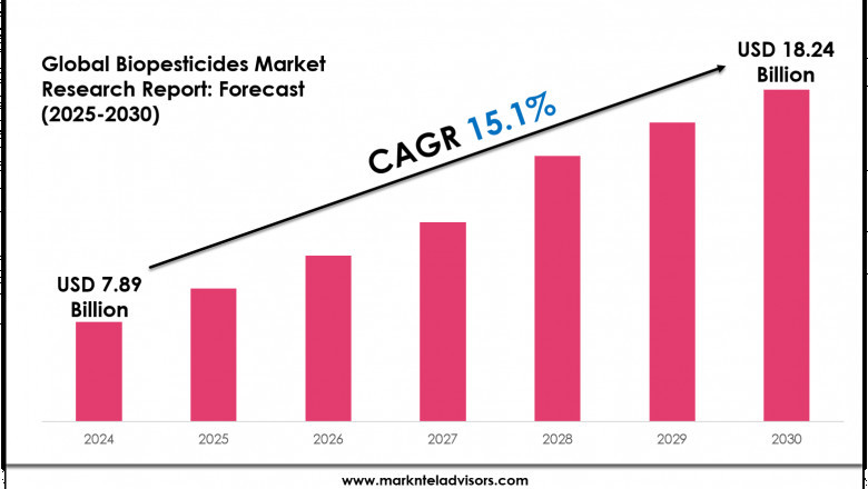 Biopesticides Market Demand Analysis and Future Growth Opportunities
