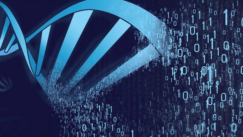 DNA Data Storage Market Forecast & Key Insights