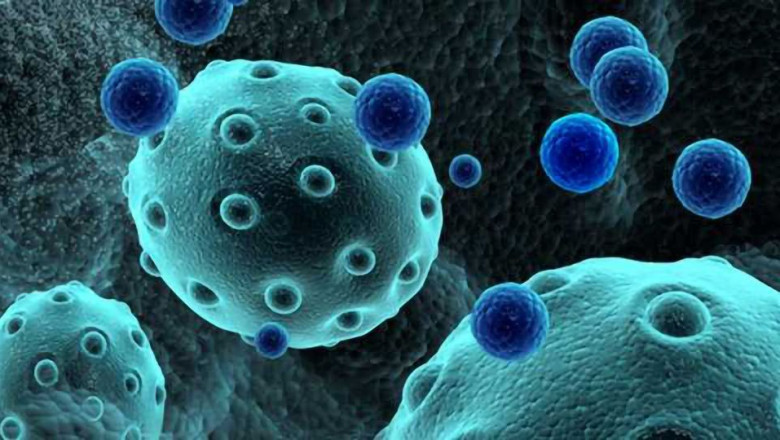 Exosome Therapeutics Market: Rapid Expansion & Segment Insights