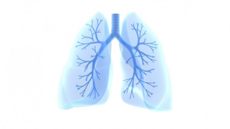 Global NSCLC Market Size, Share, Analysis and Forecast 2021 – 2030