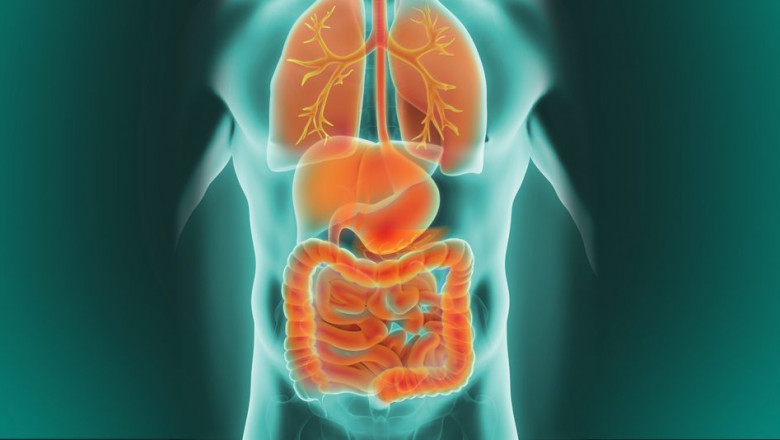 Advancements in Neuroendocrine Tumor Treatment: Improving Patient Outcomes