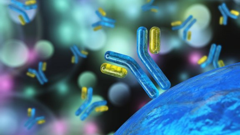 Antibody Discovery Market Size, Trends and Forecasts