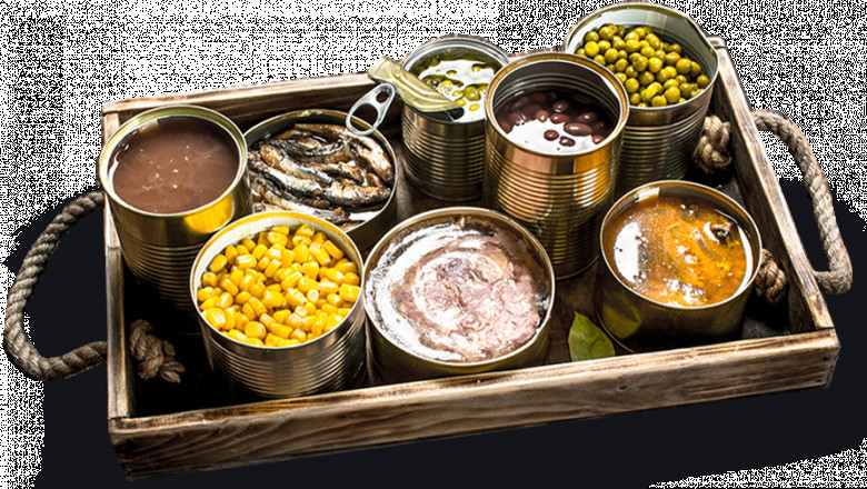 Canned Ready Meal Manufacturing Plant Capital Investment 2025: Project Report, Manufacturing Process and Profit Margin