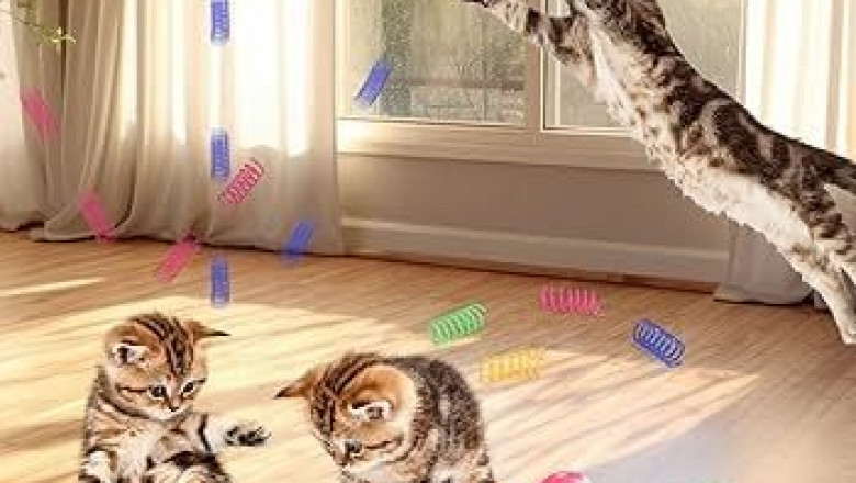 Choosing The Best Bed Set For Your Pet Companion