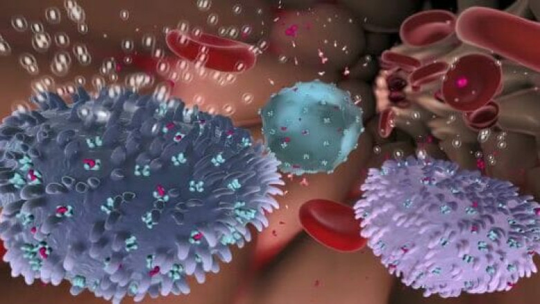 Strategic Outlook on Global Complement Inhibitors Market Growth
