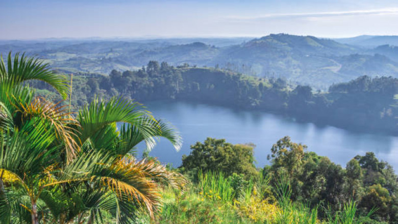 Top Things to Do on Your First Uganda Safari