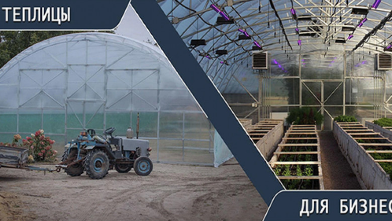 Advanced Greenhouse Technologies for Every Season