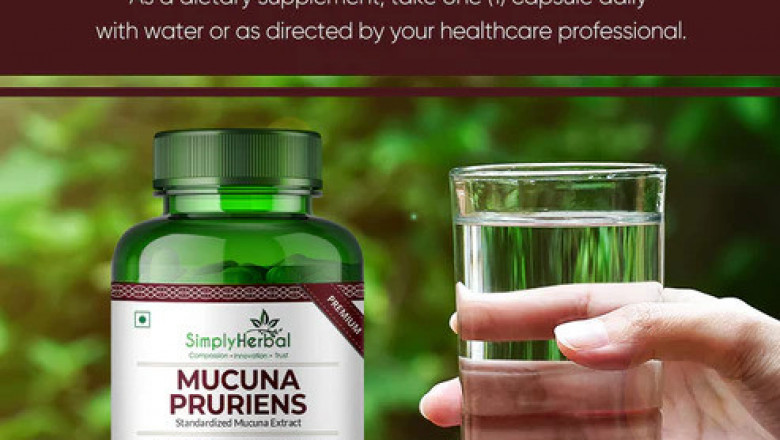 Kaunch Beej Powder or Capsule? Choosing the Right Form for Maximum Benefits