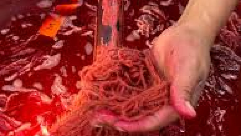 Cochineal Extract Market competitive landscape analysis with top players and their strategies