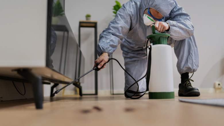 Cockroach Pest Control Near Me: Top Choice Pest Control
