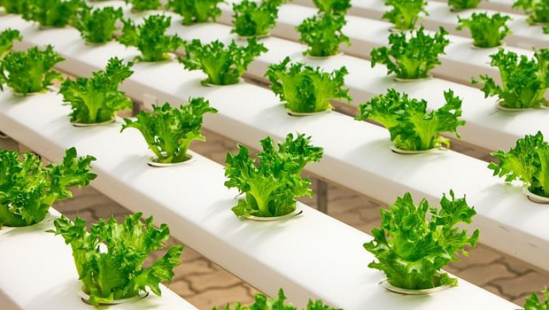 Global IoT for Fisheries and Aquaculture Market Size, Share, Forecast 2022 – 2032