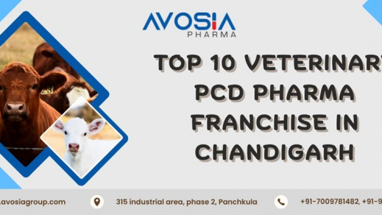Top 10 Veterinary PCD Pharma Franchise in Chandigarh
