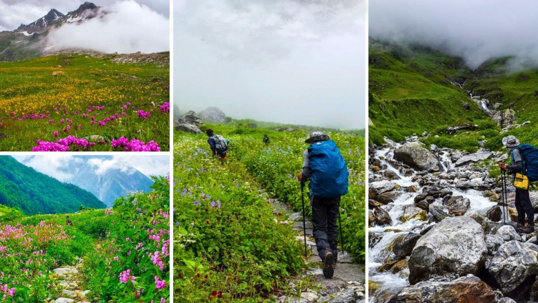 Valley of Flowers Trek Guide & Itinerary in Uttarakhand | Shree Kedar Yatra