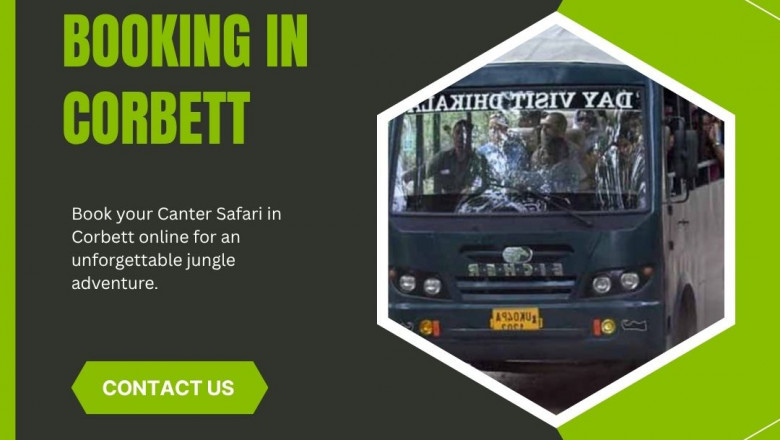 Experience the Thrill of Dhikala Canter Safari with Easy Canter Safari Booking in Corbett