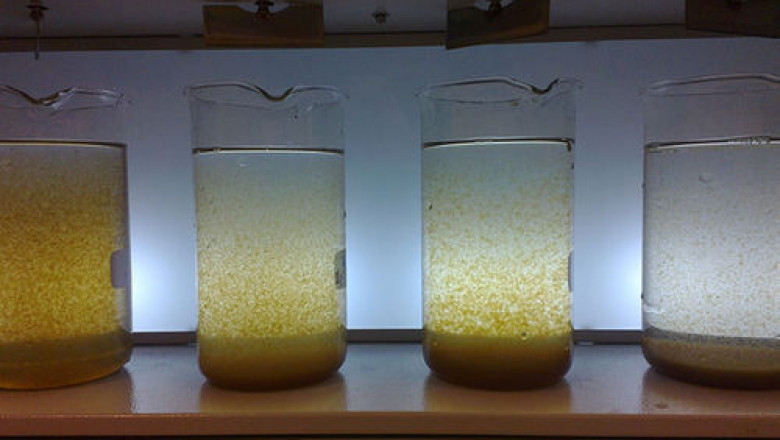 Flocculant and Coagulant Market in North America: Environmental Regulations and Innovation