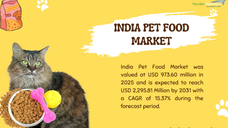India Pet Food Market Size Projection: How Big Will It Be by 2031?
