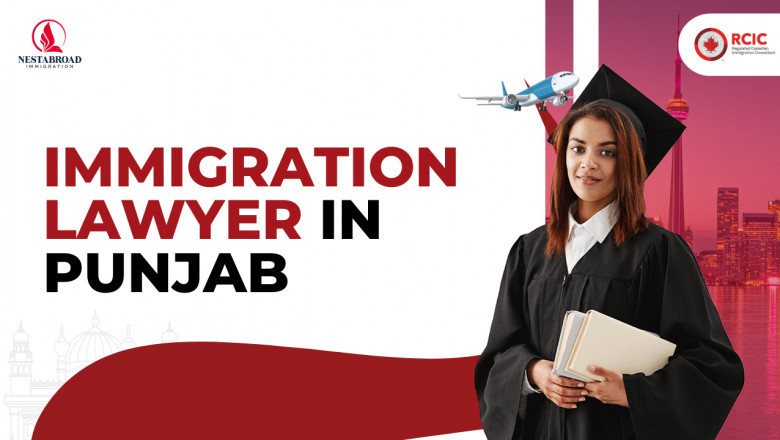 Simplify Your Immigration Journey with an Expert Immigration Lawyer in Punjab