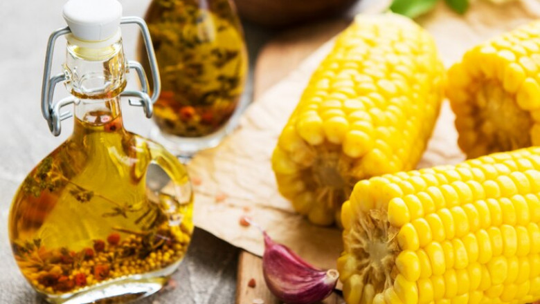 Corn Oil Market Impacting Factors Driving Growth and Shaping New Market Trends