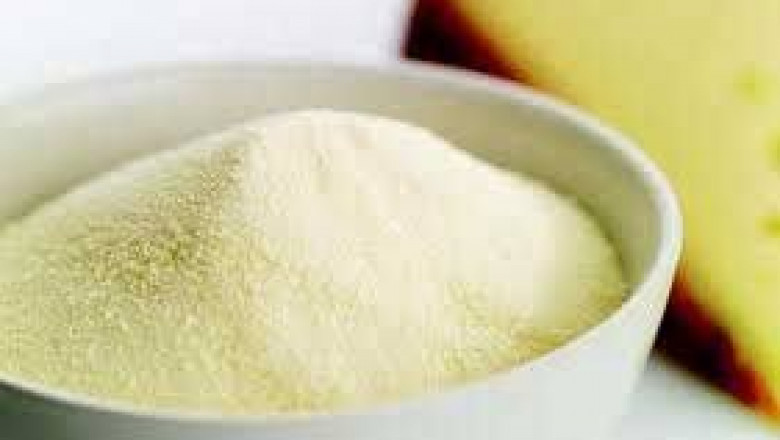 Deproteinized Whey Market key players’ strategies redefining global competition and distribution models