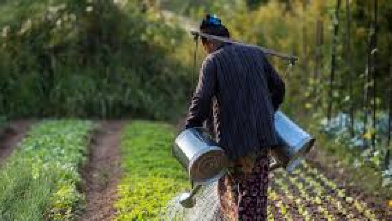 Regenerative Agriculture Market Intelligence Unveils Growth Dynamics and Emerging Opportunities