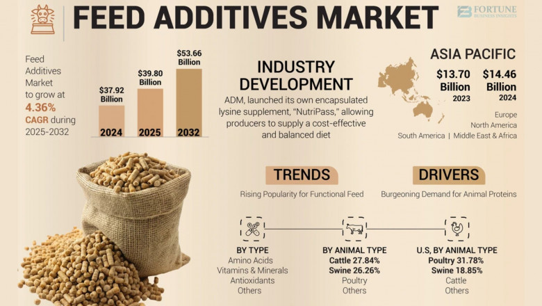 Feed Additives Market Size, Share & 2032 Market Expansion Opportunities