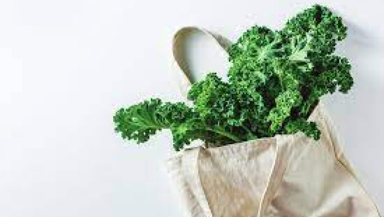 Lutein Market supply chain dynamics and challenges influencing pricing and product availability
