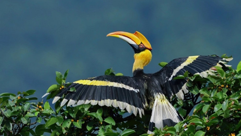 From Mountains to Backwaters: South India Travel Packages Explained – Lumiere Holidays