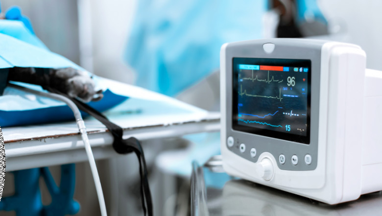 Medical Display Market Dynamics Underpinning Regulatory, Technological, and End-Use Sector Transformations