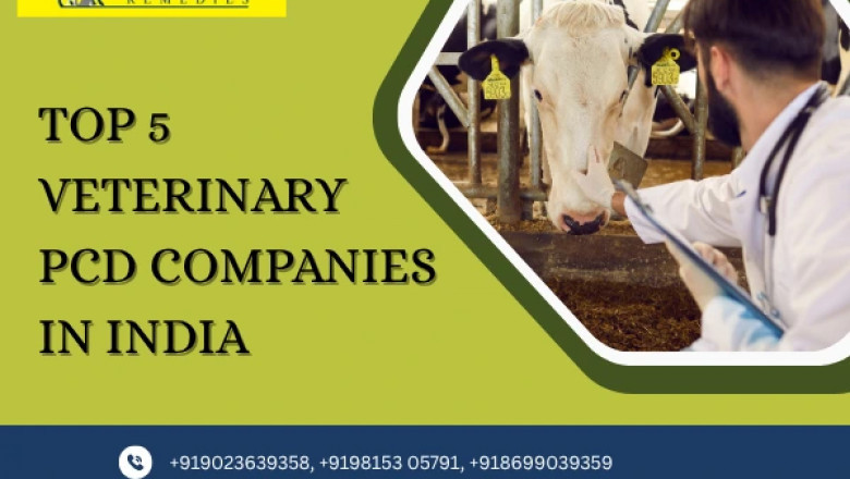 Top 5 Veterinary PCD Companies in India